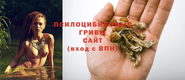 гашиш Аркадак
