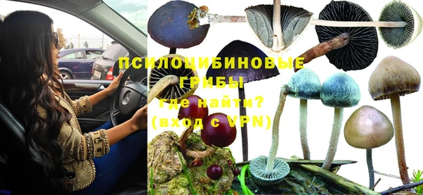 прущая мука Арсеньев